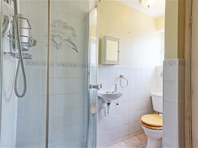 Picture 8